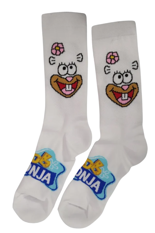 Medias Arenita